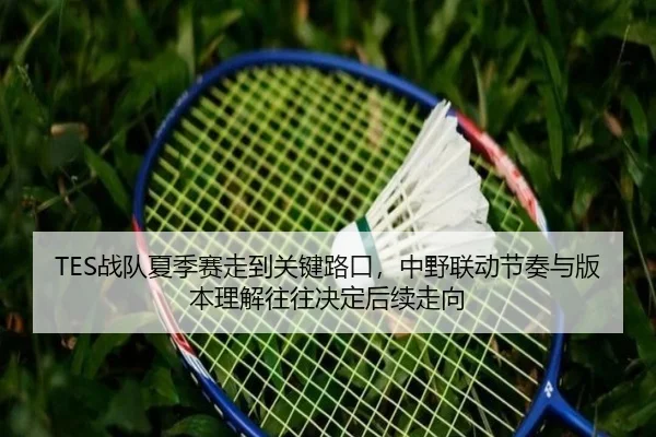 TES战队夏季赛走到关键路口，中野联动节奏与版本理解往往决定后续走向